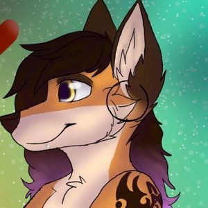 Meet your Posher, Hayden